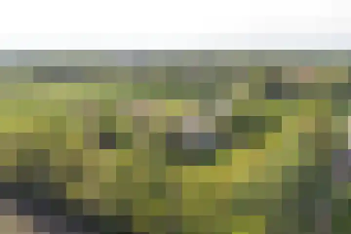 Boetseweg 25 Roswinkel thumbnail 4
