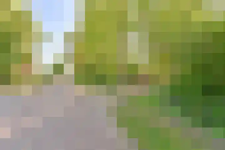 Boetseweg 25 Roswinkel thumbnail 7