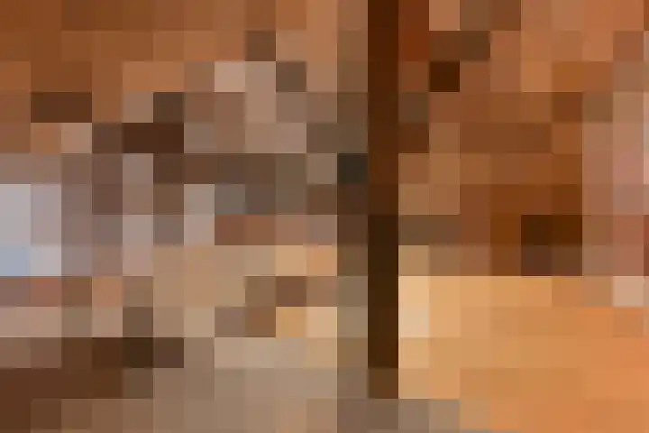 Boetseweg 25 Roswinkel thumbnail 73