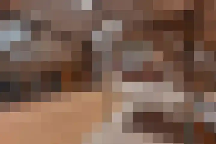 Boetseweg 25 Roswinkel thumbnail 74