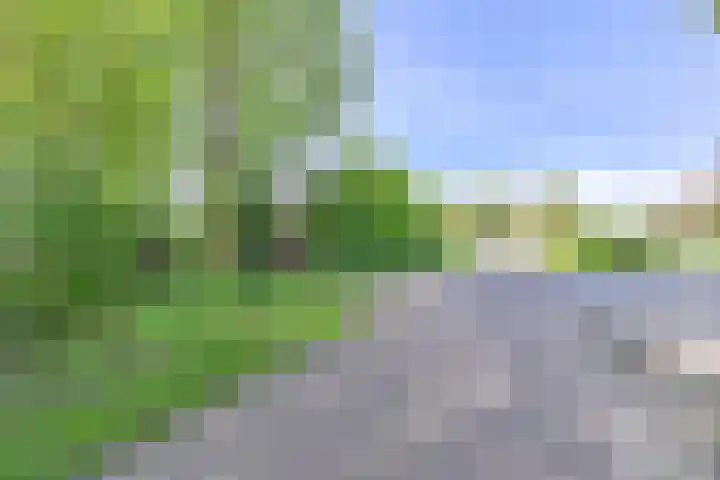 Boetseweg 25 Roswinkel thumbnail 8