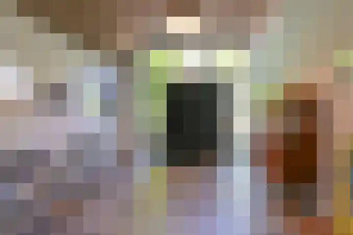Boetseweg 25 Roswinkel thumbnail 85