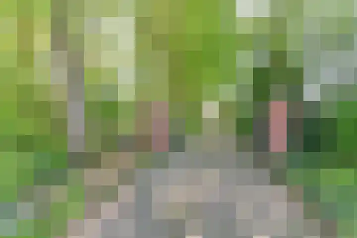 Boetseweg 25 Roswinkel thumbnail 9