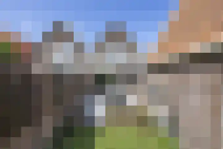 Boeweg 83 Beverwijk thumbnail 34