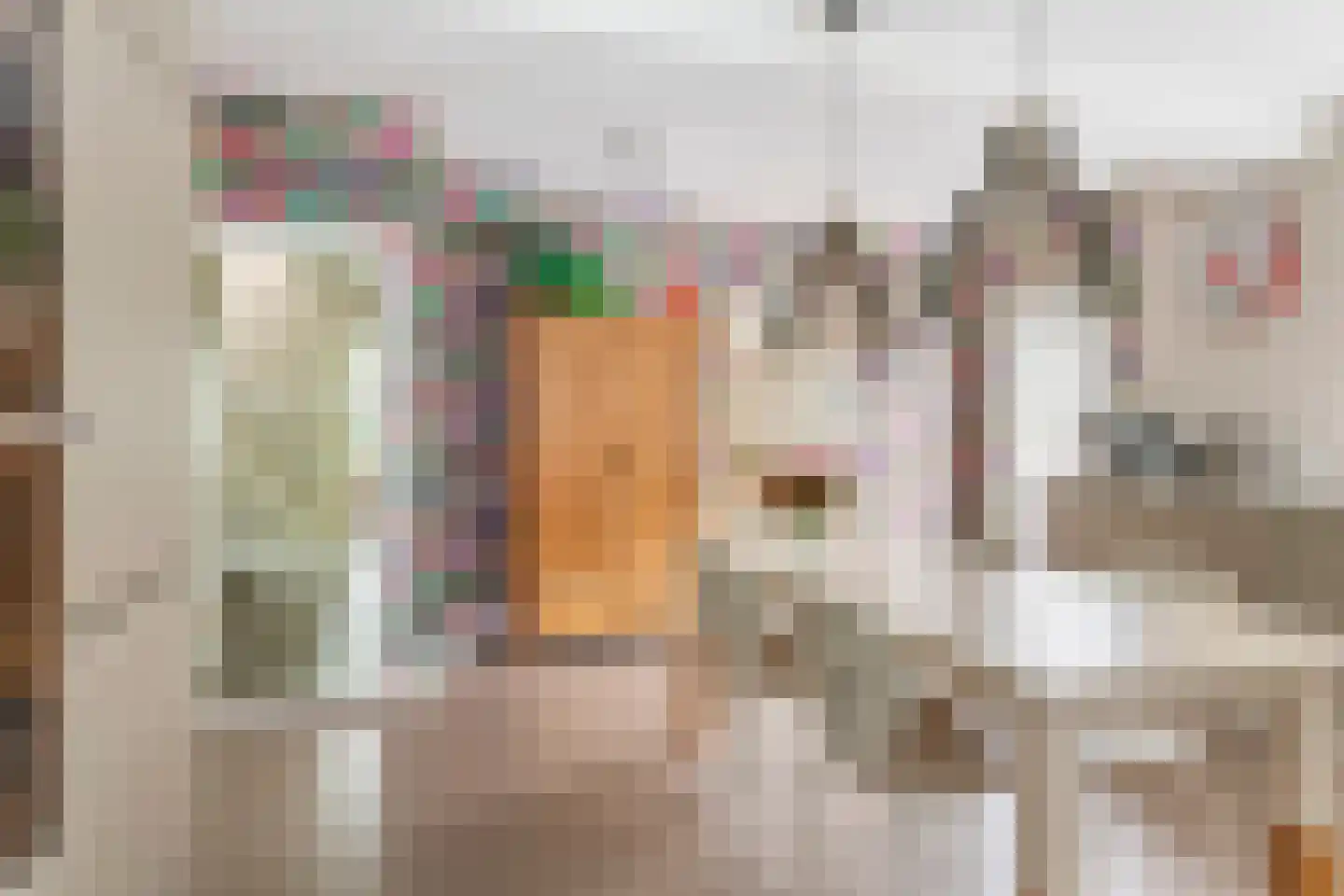 Boeylaan 13 Leerdam thumbnail 20