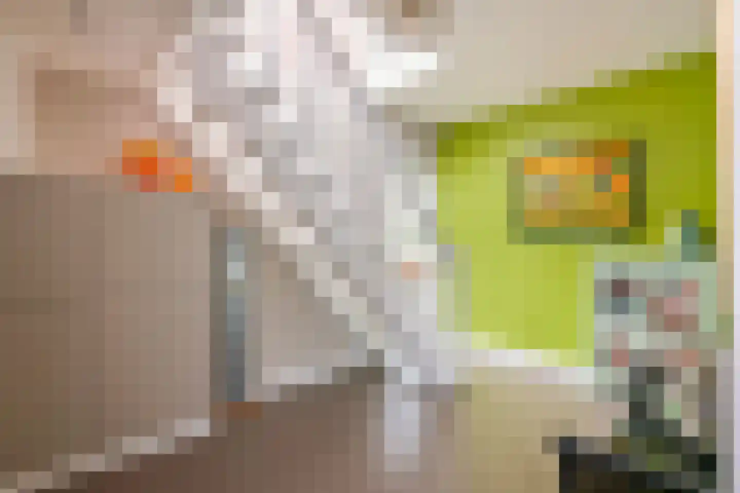 Boeylaan 13 Leerdam thumbnail 24