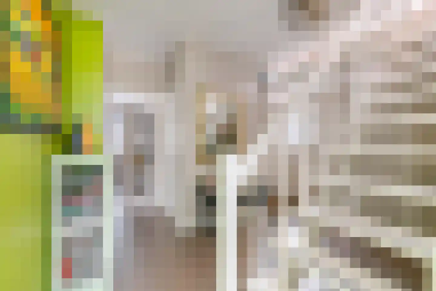 Boeylaan 13 Leerdam thumbnail 25
