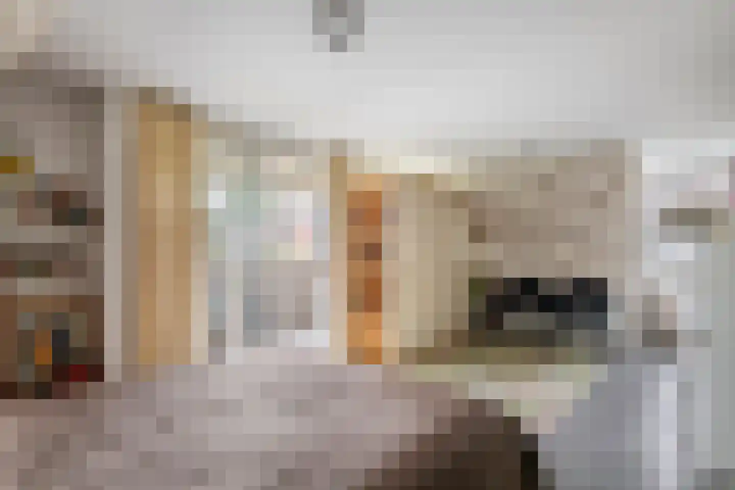 Boeylaan 13 Leerdam thumbnail 28