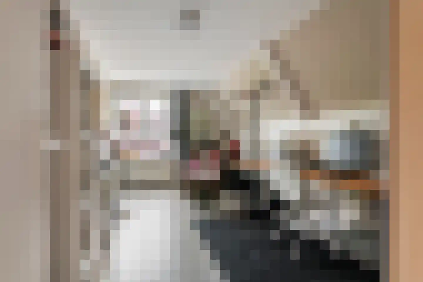 Boeylaan 13 Leerdam thumbnail 31