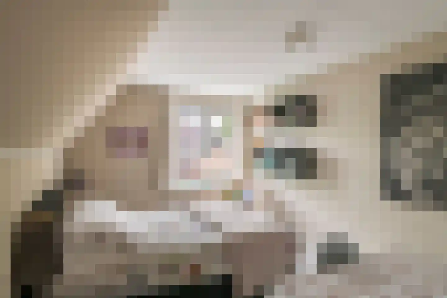 Boeylaan 13 Leerdam thumbnail 34