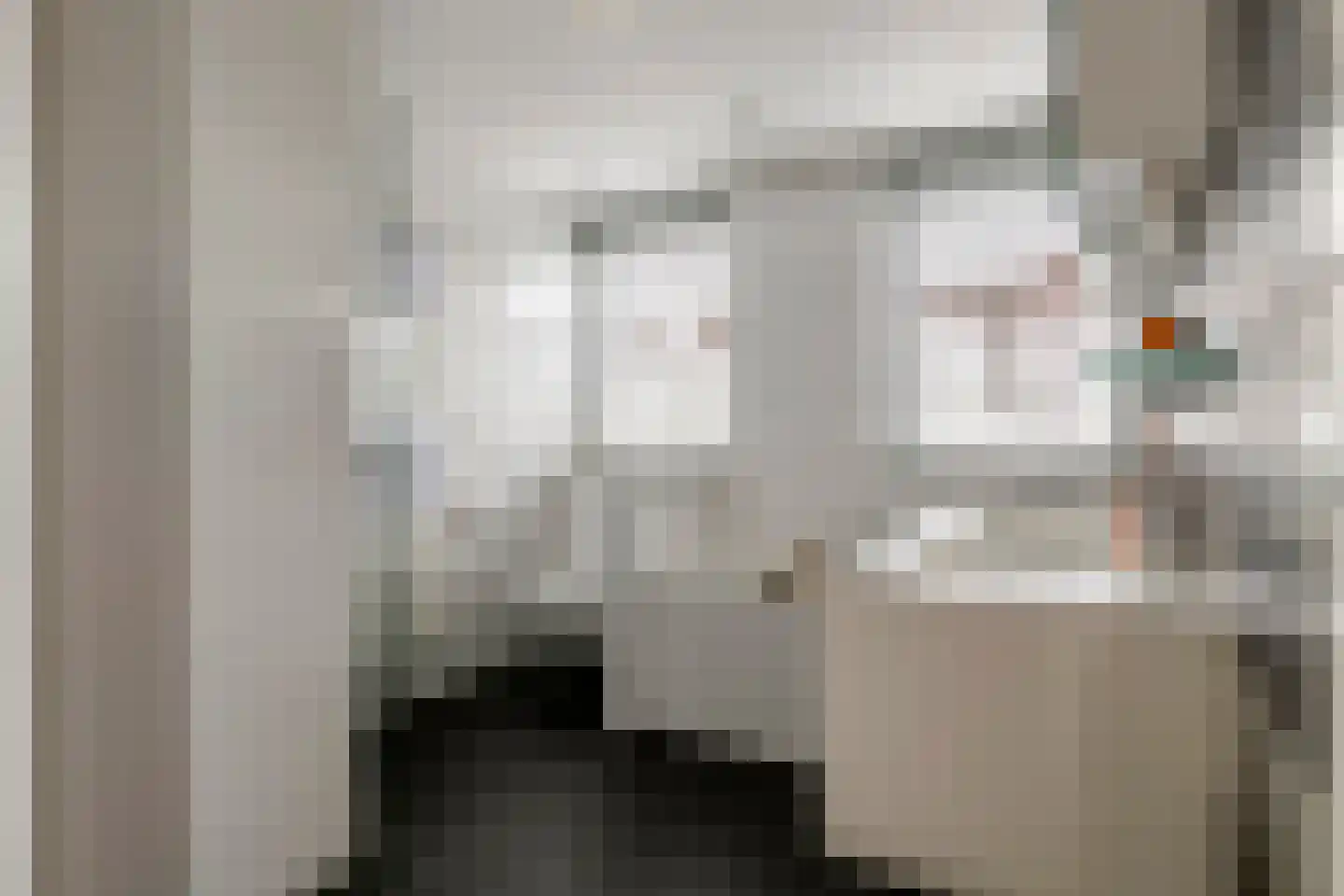 Boeylaan 13 Leerdam thumbnail 36
