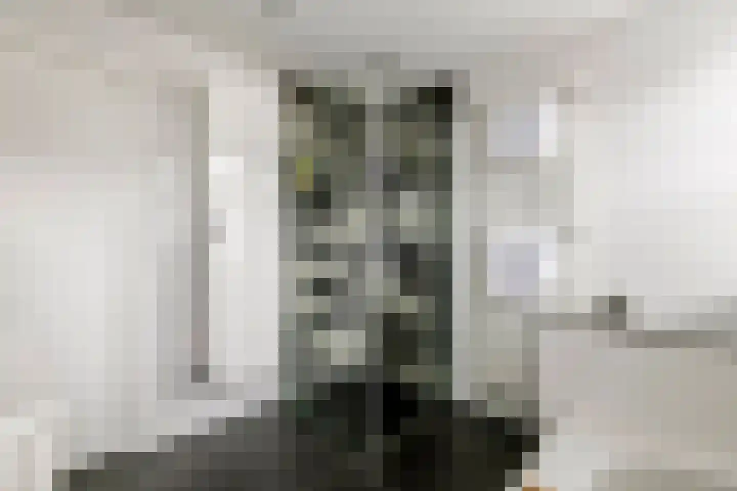 Boeylaan 13 Leerdam thumbnail 37