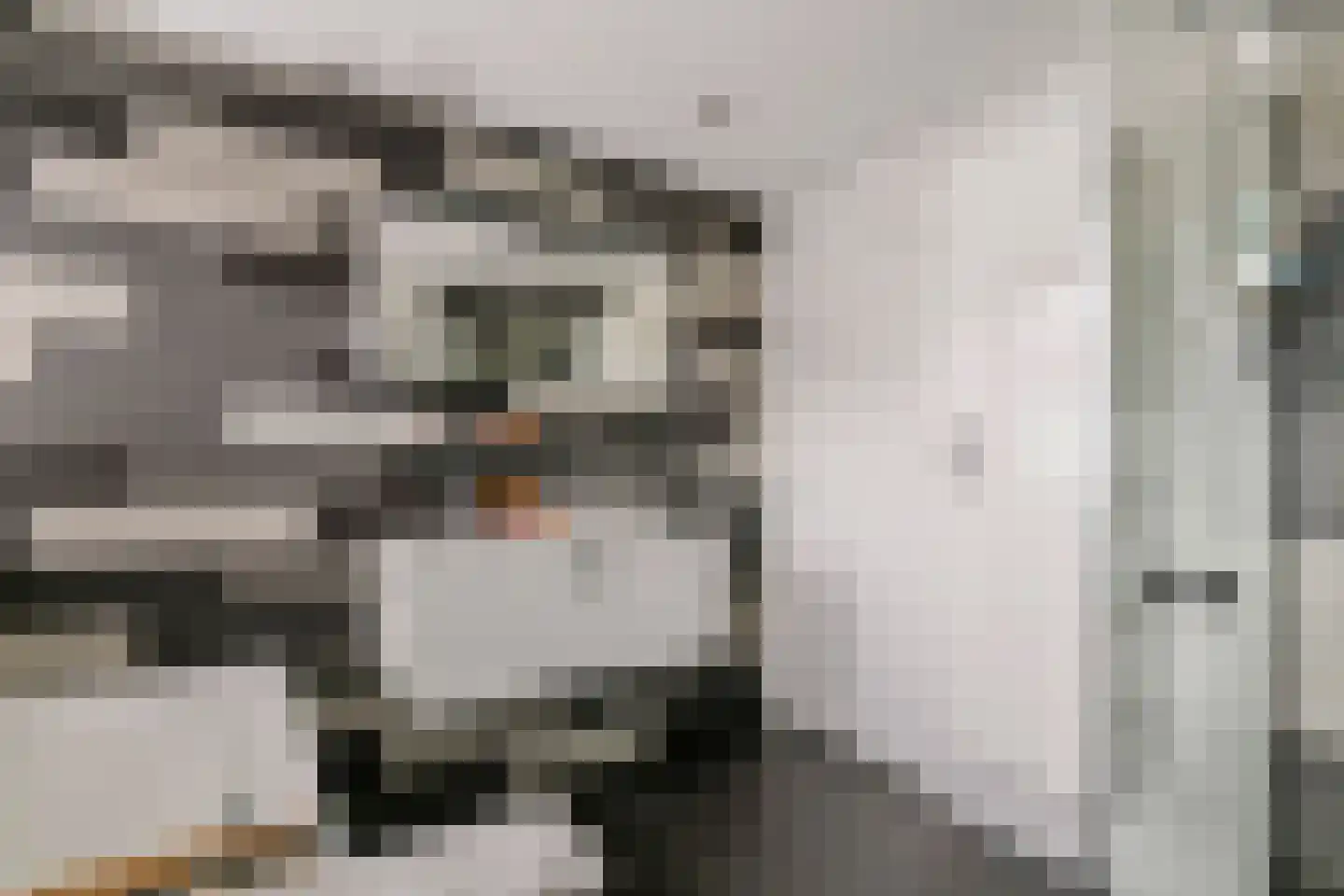 Boeylaan 13 Leerdam thumbnail 38