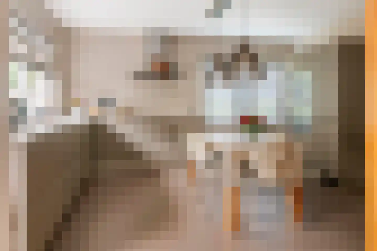 Boeylaan 13 Leerdam thumbnail 4