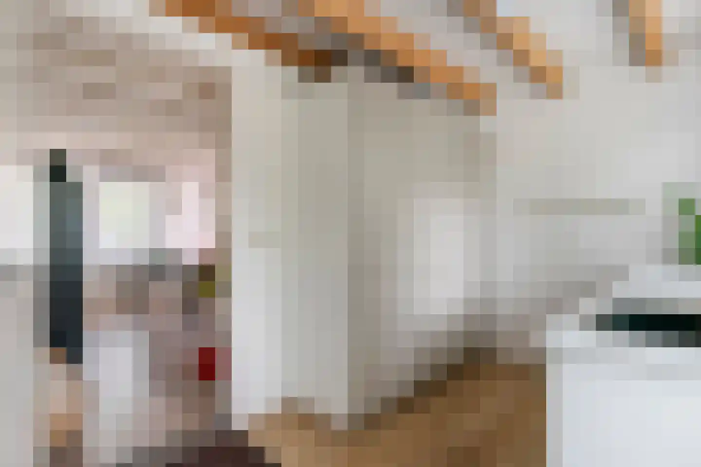 Boeylaan 13 Leerdam thumbnail 49