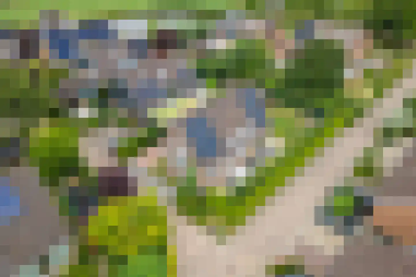 Boeylaan 13 Leerdam thumbnail 7