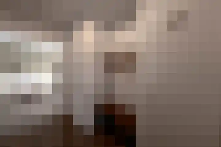 Boeylaan 14 Leerdam thumbnail 10