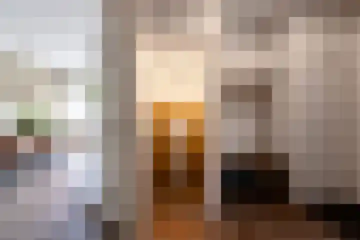 Boeylaan 14 Leerdam thumbnail 11