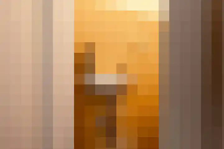 Boeylaan 14 Leerdam thumbnail 12
