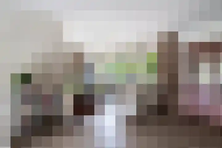 Boeylaan 14 Leerdam thumbnail 14