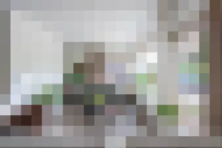 Boeylaan 14 Leerdam thumbnail 15