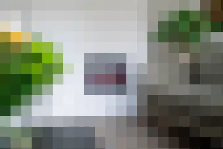 Boeylaan 14 Leerdam thumbnail 16