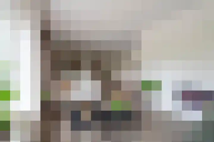 Boeylaan 14 Leerdam thumbnail 17