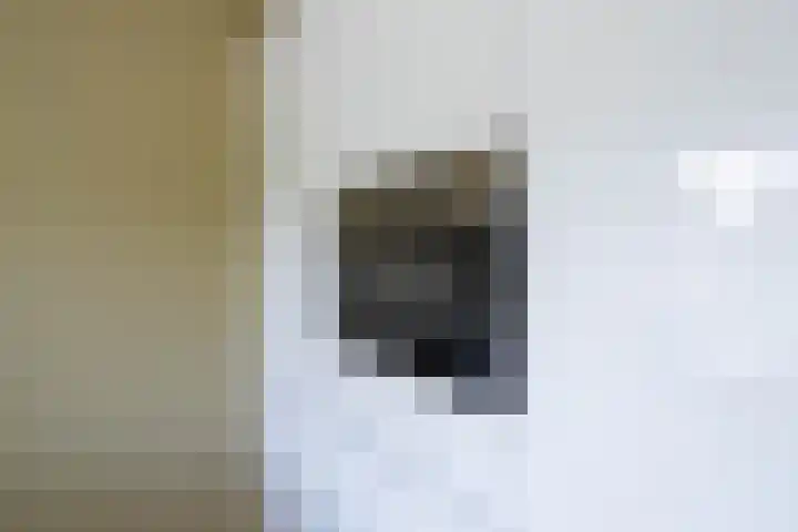 Boeylaan 14 Leerdam thumbnail 21