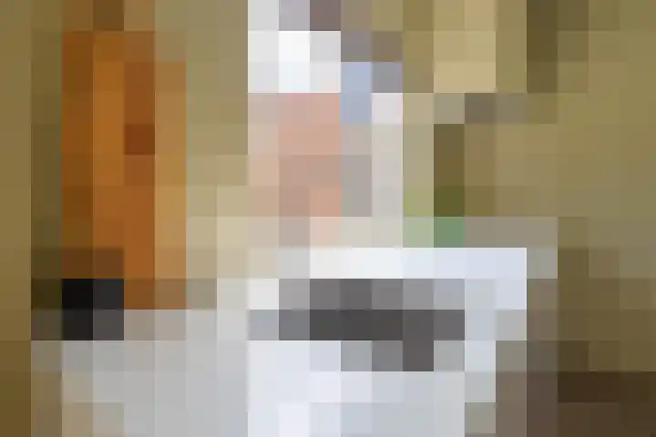 Boeylaan 14 Leerdam thumbnail 23