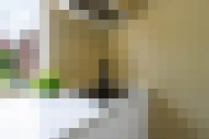 Boeylaan 14 Leerdam thumbnail 24