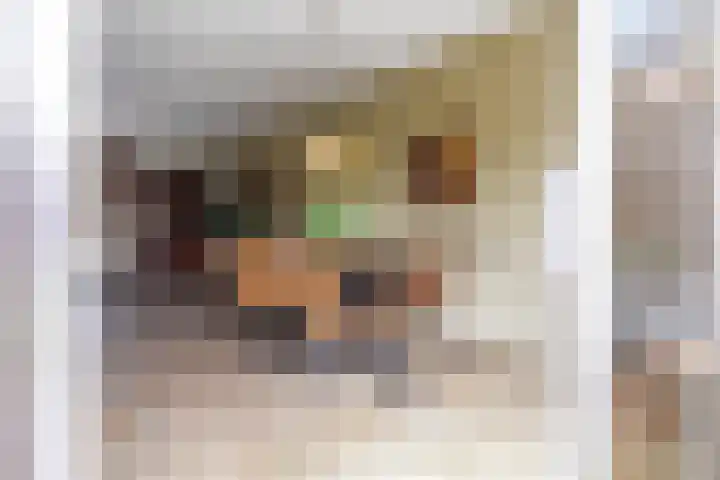 Boeylaan 14 Leerdam thumbnail 25