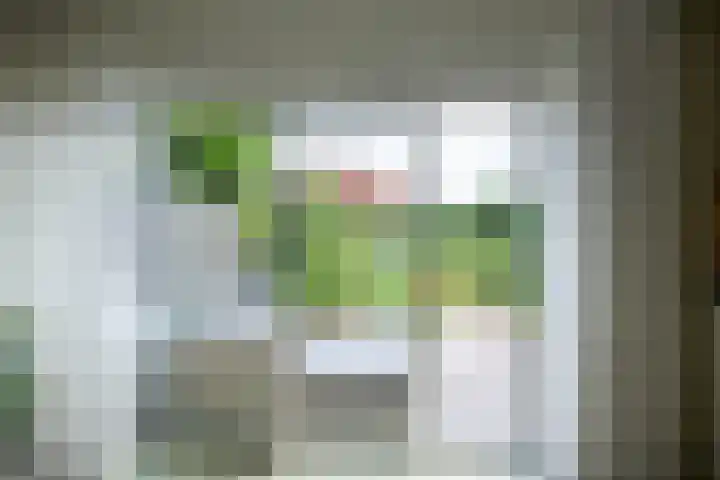 Boeylaan 14 Leerdam thumbnail 26