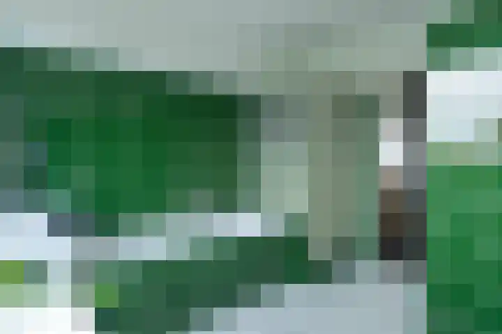 Boeylaan 14 Leerdam thumbnail 28