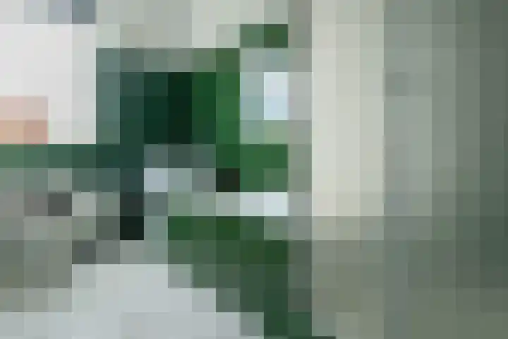 Boeylaan 14 Leerdam thumbnail 29
