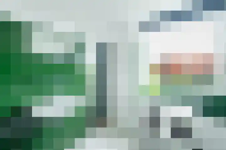 Boeylaan 14 Leerdam thumbnail 30