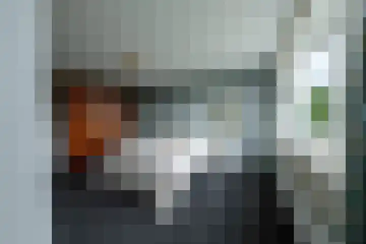 Boeylaan 14 Leerdam thumbnail 31