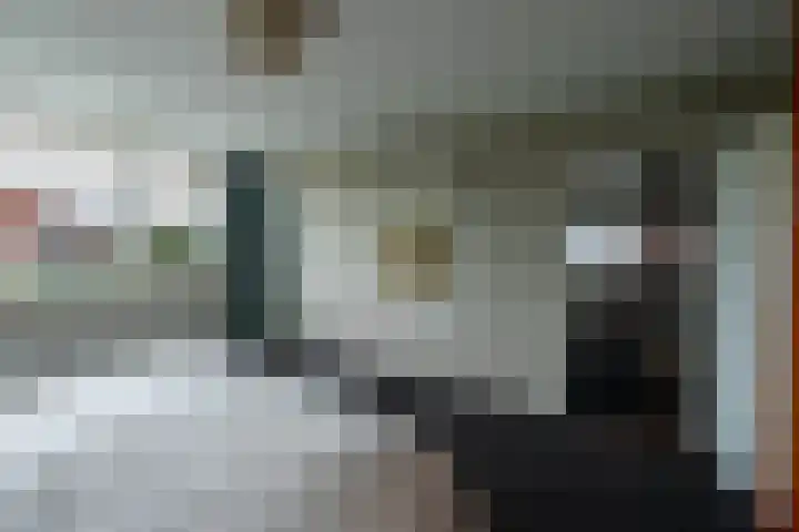 Boeylaan 14 Leerdam thumbnail 34