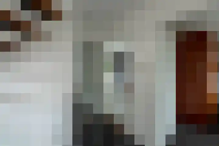 Boeylaan 14 Leerdam thumbnail 36