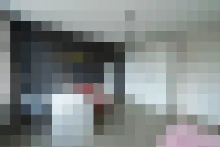 Boeylaan 14 Leerdam thumbnail 39
