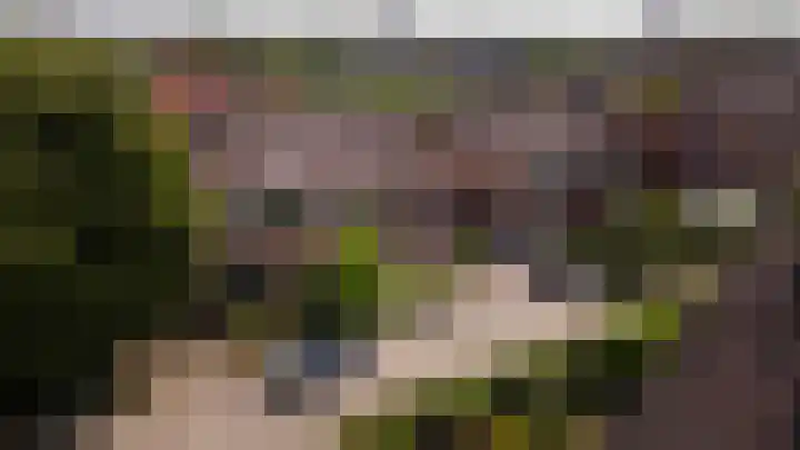 Boeylaan 14 Leerdam thumbnail 4