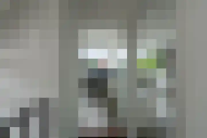Boeylaan 14 Leerdam thumbnail 40
