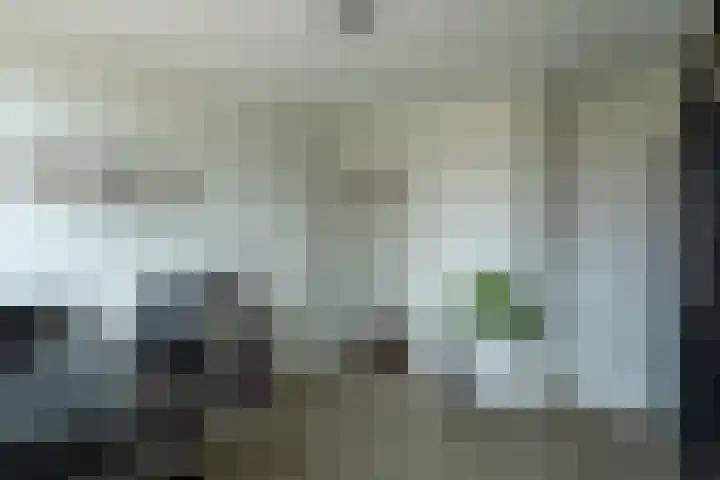 Boeylaan 14 Leerdam thumbnail 42