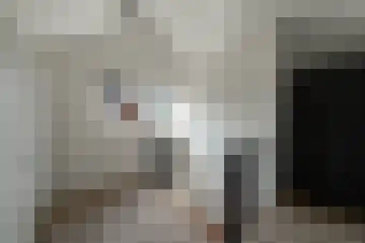 Boeylaan 14 Leerdam thumbnail 44