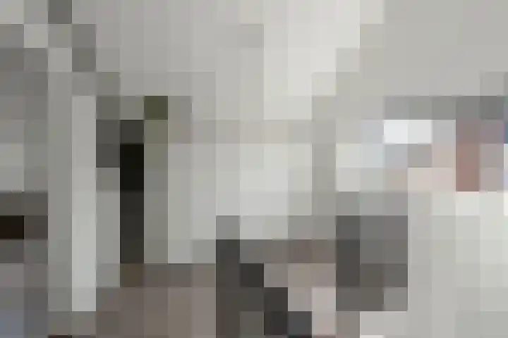 Boeylaan 14 Leerdam thumbnail 45