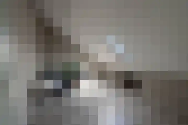 Boeylaan 14 Leerdam thumbnail 47