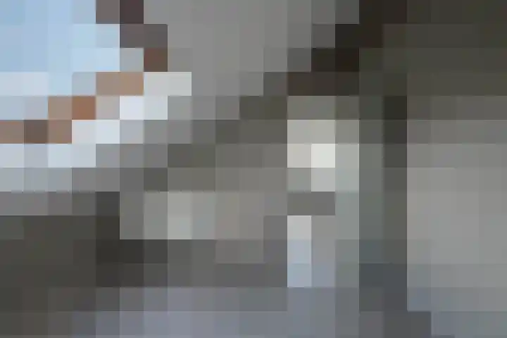 Boeylaan 14 Leerdam thumbnail 48