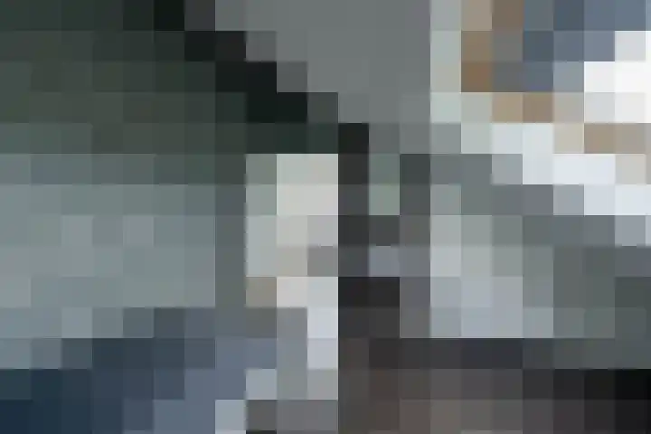 Boeylaan 14 Leerdam thumbnail 50