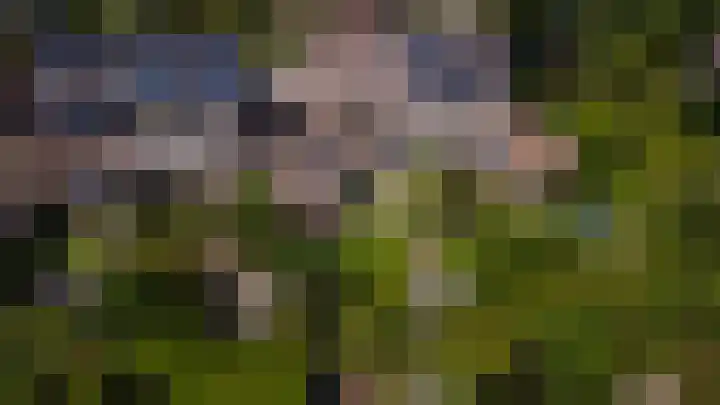 Boeylaan 14 Leerdam thumbnail 52