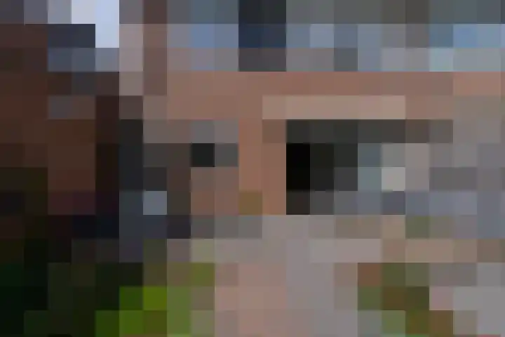 Boeylaan 14 Leerdam thumbnail 54
