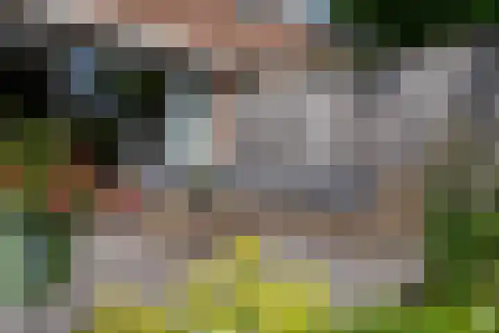 Boeylaan 14 Leerdam thumbnail 56